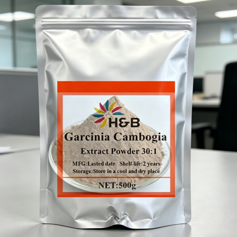 Garcinia Cambogia Extract - Customized Wholesale Aluminum Foil Bag for