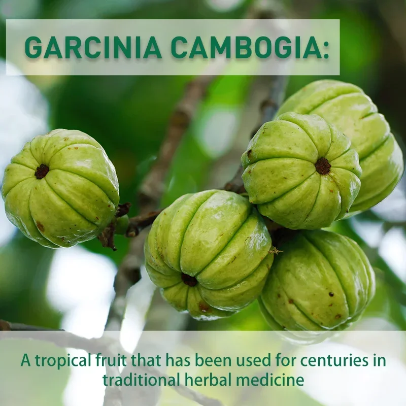 Garcinia Cambogia Capsules - I – Garcinia Cambogia Extract recenzja i cena