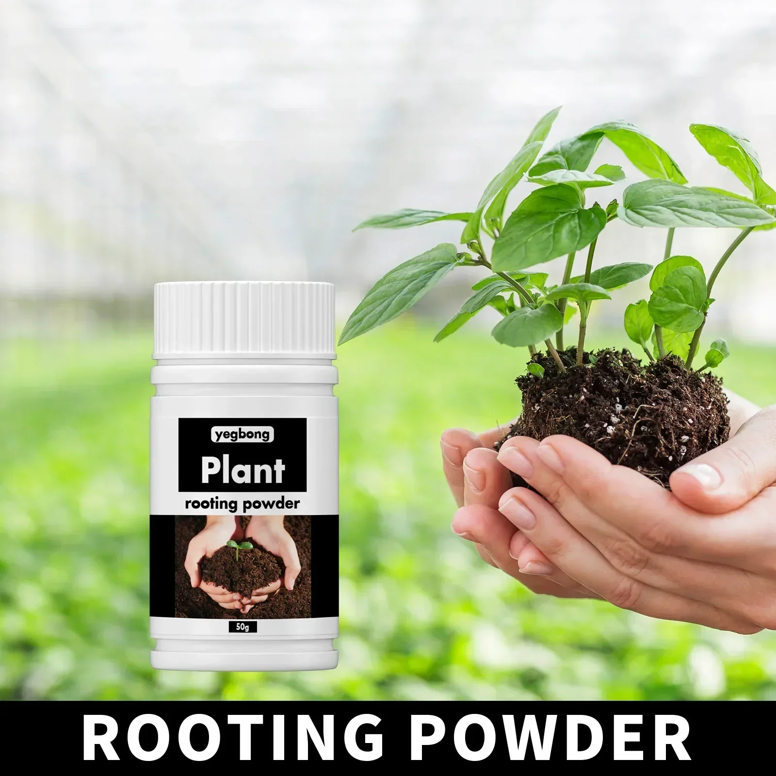 Rare Plant Rooting Powder Plan – Roots Nutrition & Fitness Inglewood Photos recenzja i cena