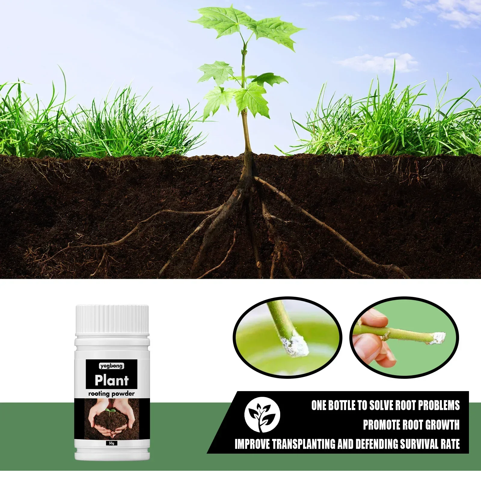 Rare Plant Rooting Powder Plan – Roots Nutrition & Fitness Inglewood Photos recenzja i cena