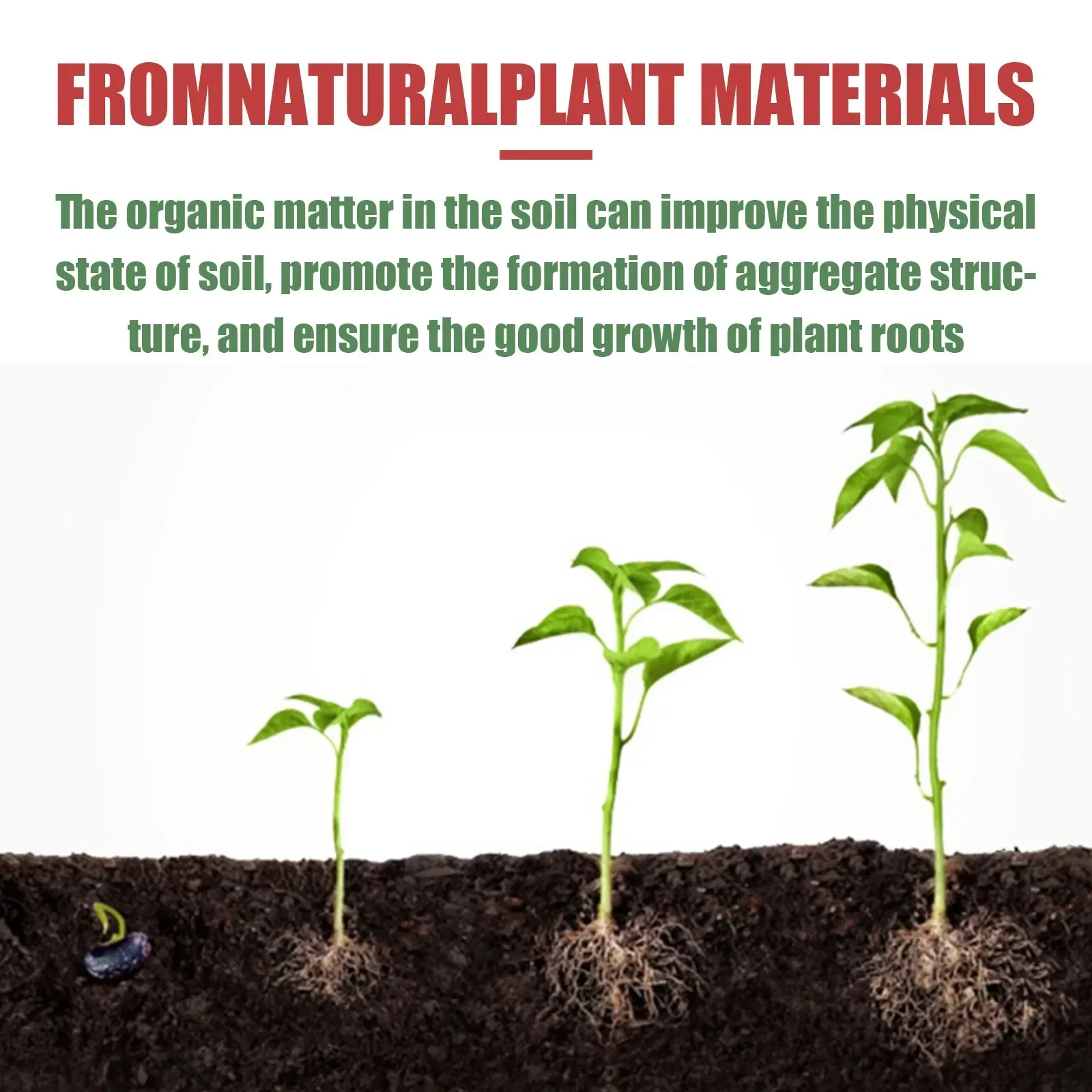 Rare Plant Rooting Powder Plan – Roots Nutrition & Fitness Inglewood Photos recenzja i cena