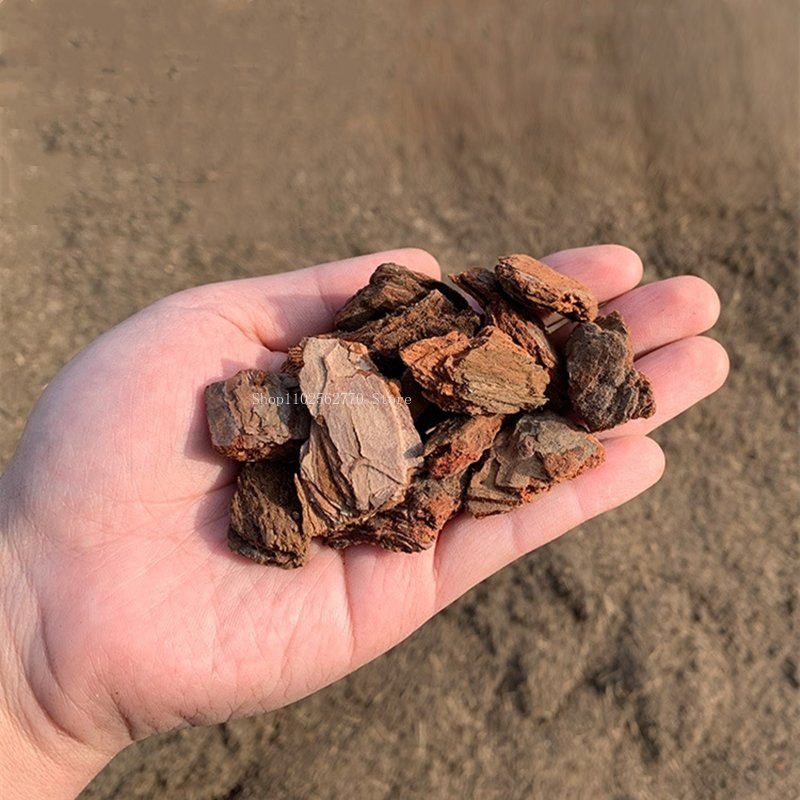500g Fermented Pine Bark Natur – Roots Nutrition & Fitness Inglewood Photos recenzja i cena