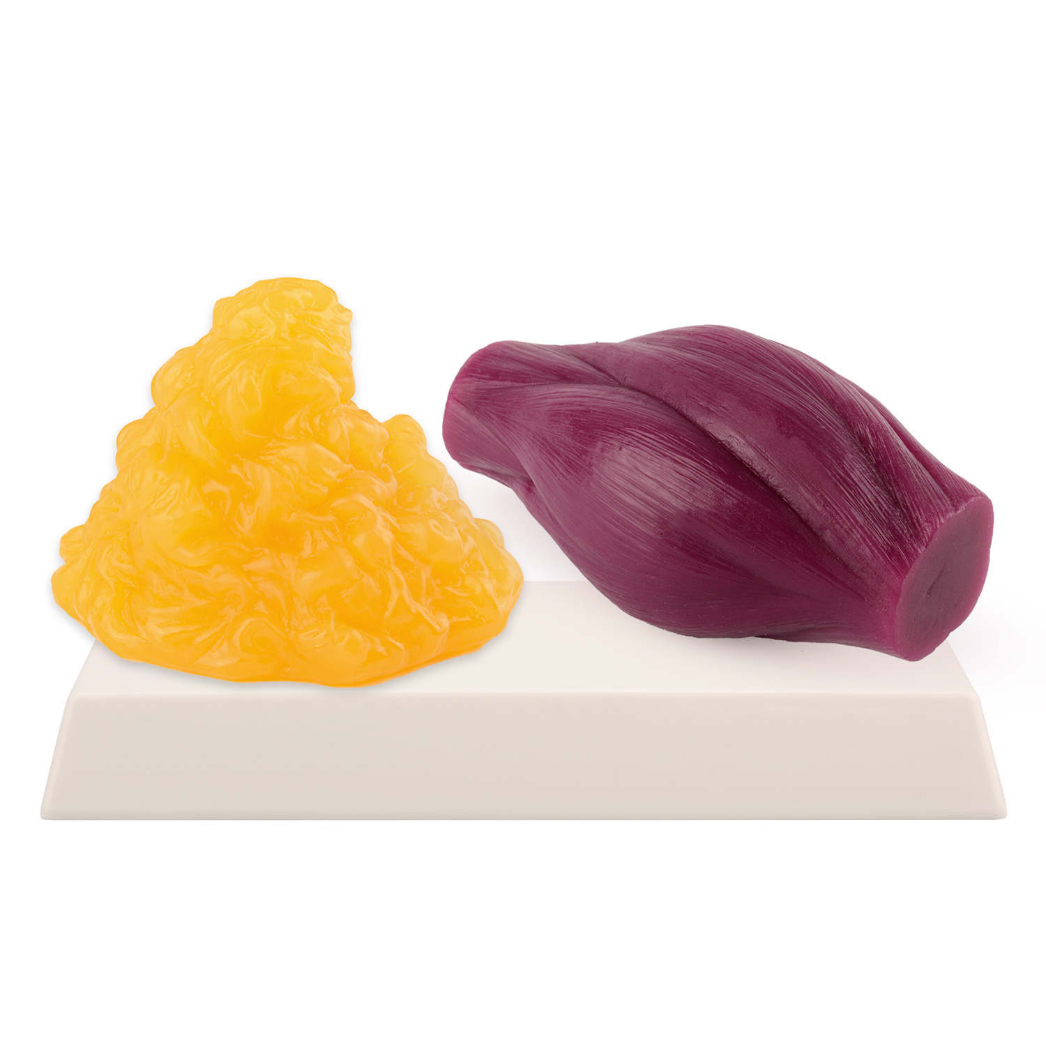 1lb Fat Replica & Muscle to Ke – Fitness With Nutrition recenzja i cena