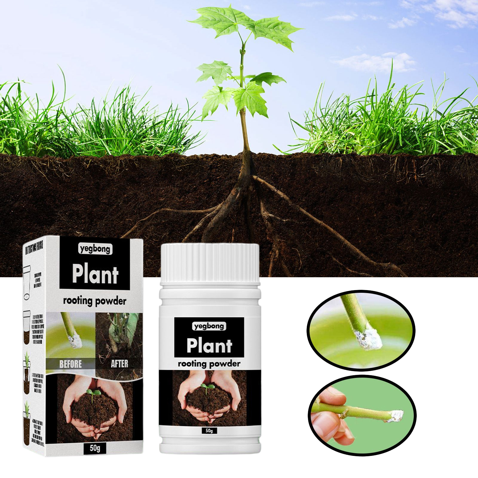 1Rare Plant Rooting Powder Pla – Roots Nutrition & Fitness Inglewood Photos recenzja i cena