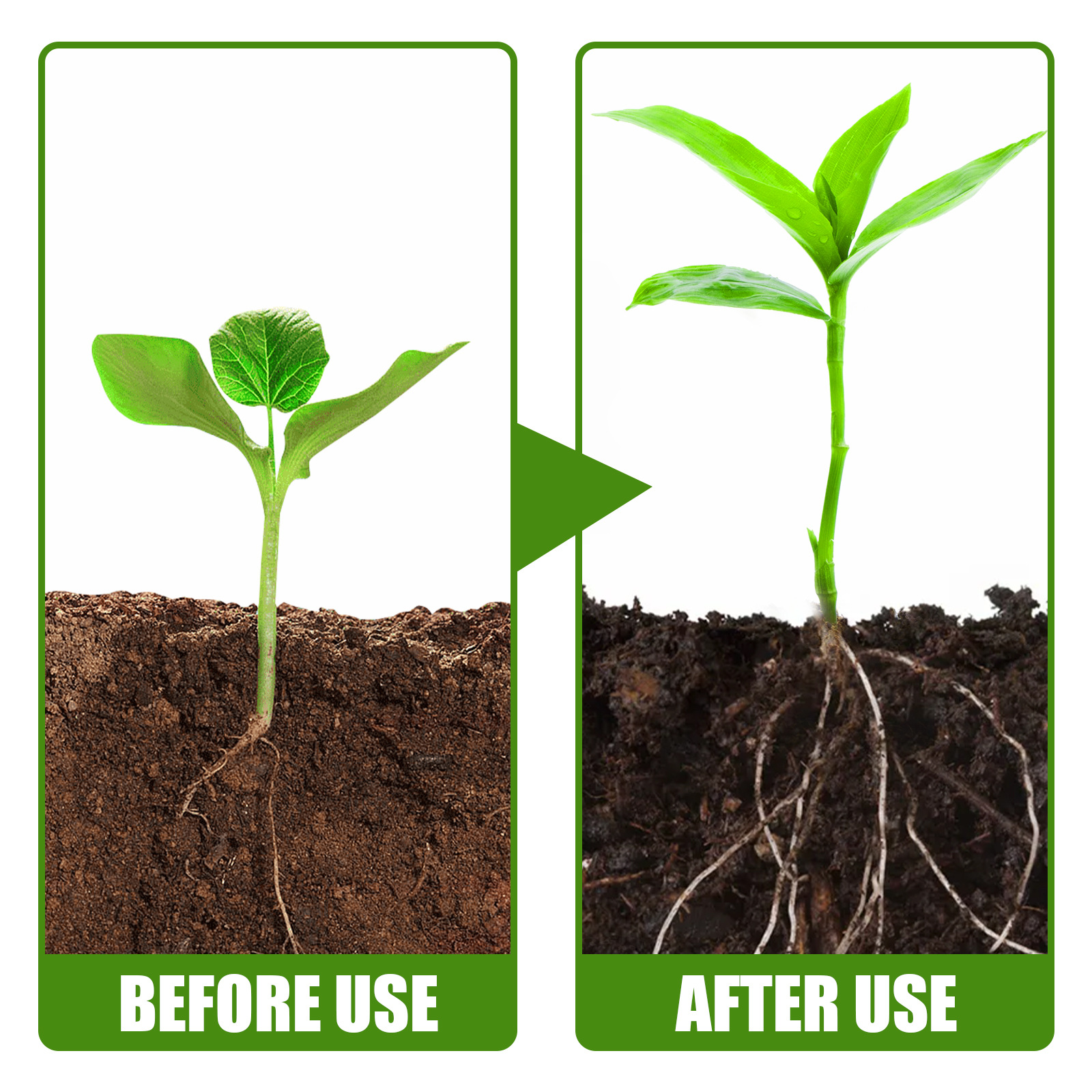 1Rare Plant Rooting Powder Pla – Roots Nutrition & Fitness Inglewood Photos recenzja i cena